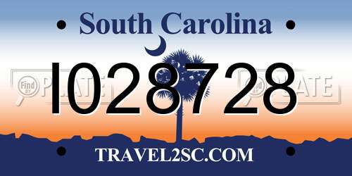 I028728 South Carolina License Plate