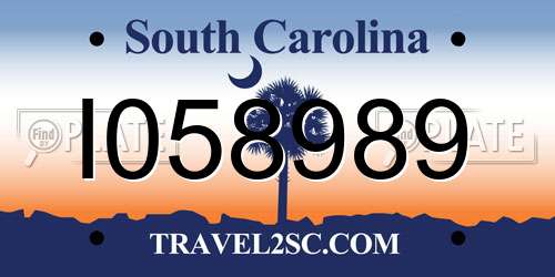 I058989 South Carolina License Plate