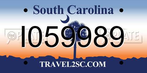I059989 South Carolina License Plate