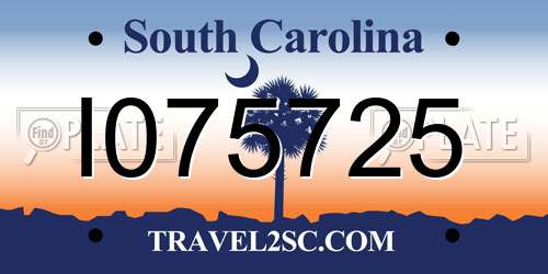 I075725 South Carolina License Plate