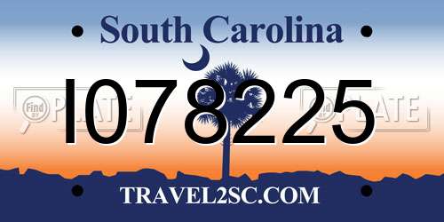 I078225 South Carolina License Plate