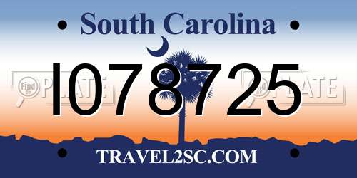 I078725 South Carolina License Plate