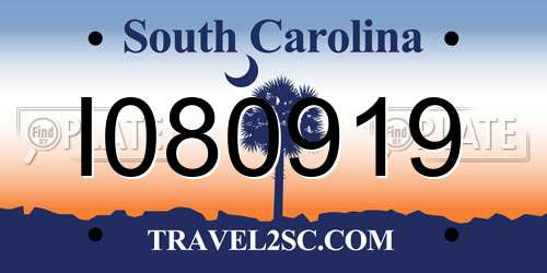 I080919 South Carolina License Plate