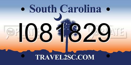 I081829 South Carolina License Plate