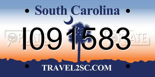 I091583 South Carolina License Plate