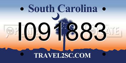 I091883 South Carolina License Plate