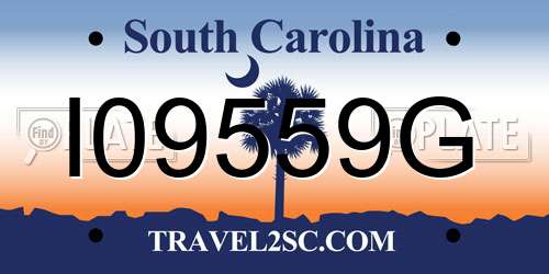 I09559G South Carolina License Plate