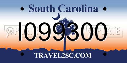 I099300 South Carolina License Plate