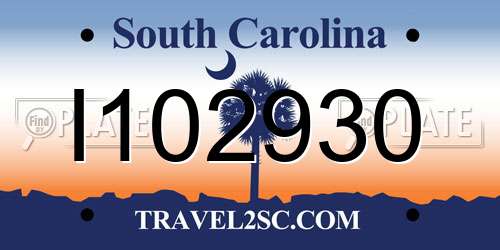 I102930 South Carolina License Plate