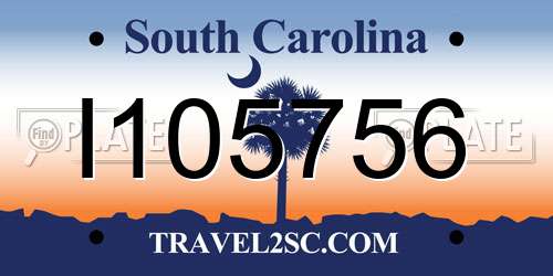 I105756 South Carolina License Plate