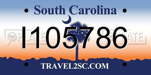 I105786 South Carolina License Plate