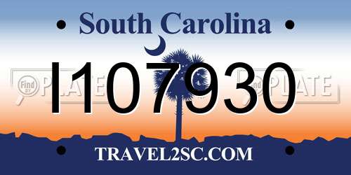 I107930 South Carolina License Plate