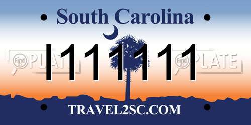 I111111 South Carolina License Plate