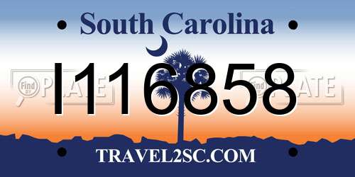 I116858 South Carolina License Plate