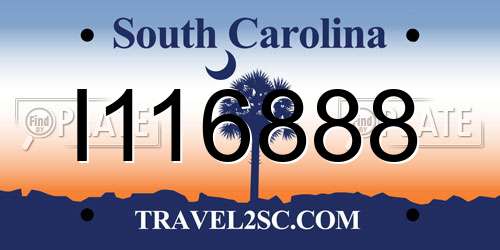 I116888 South Carolina License Plate