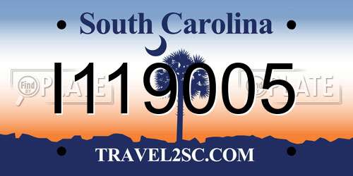 I119005 South Carolina License Plate