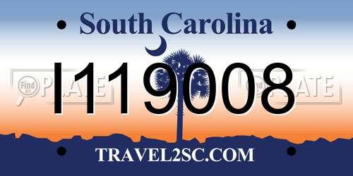 I119008 South Carolina License Plate