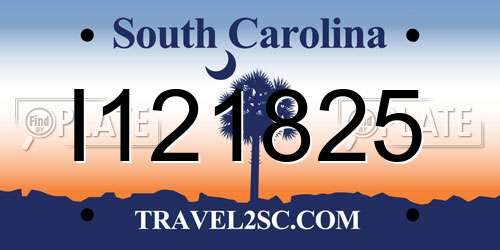 I121825 South Carolina License Plate