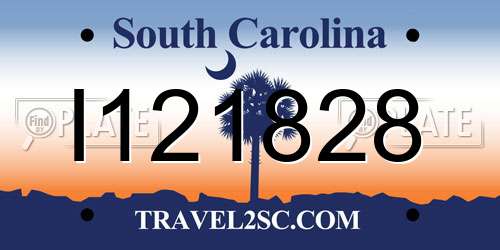 I121828 South Carolina License Plate