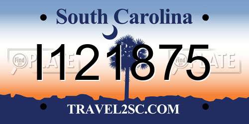 I121875 South Carolina License Plate