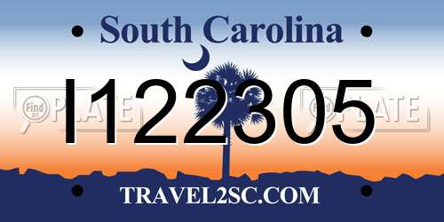I122305 South Carolina License Plate