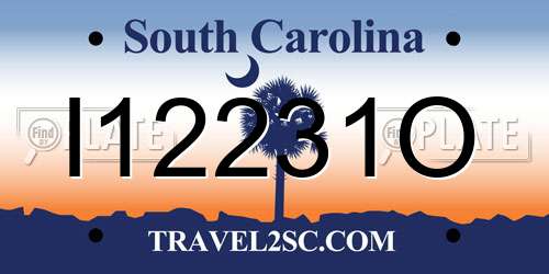 I12231O South Carolina License Plate