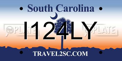 I124LY South Carolina License Plate