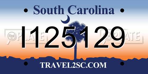 I125129 South Carolina License Plate