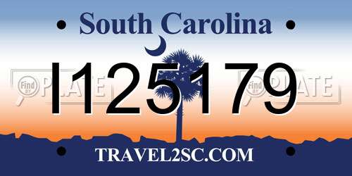 I125179 South Carolina License Plate
