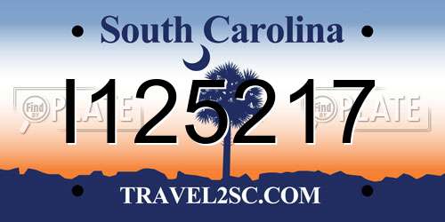 I125217 South Carolina License Plate