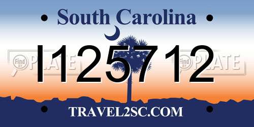 I125712 South Carolina License Plate