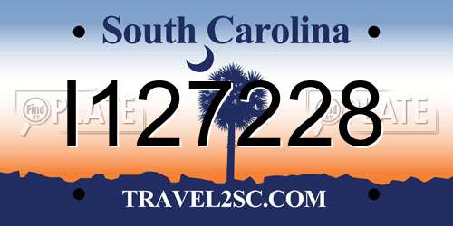 I127228 South Carolina License Plate
