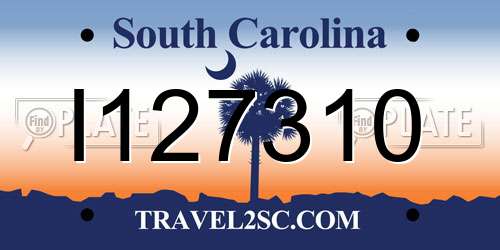 I127310 South Carolina License Plate