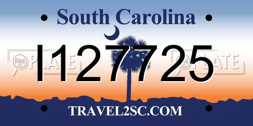 I127725 South Carolina License Plate