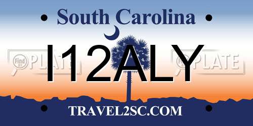 I12ALY South Carolina License Plate