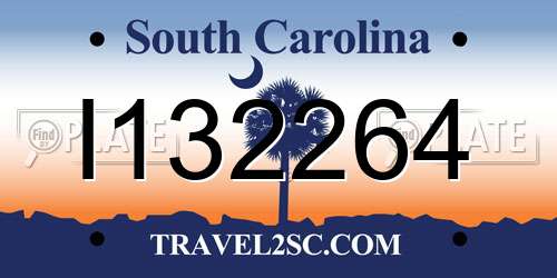 I132264 South Carolina License Plate