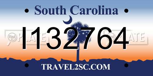 I132764 South Carolina License Plate