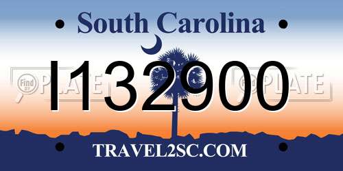 I132900 South Carolina License Plate
