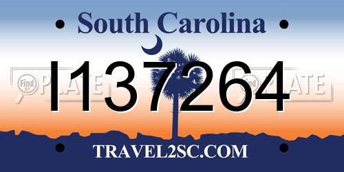 I137264 South Carolina License Plate
