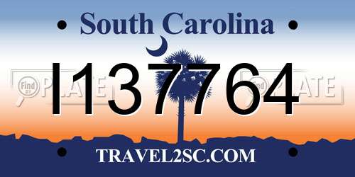 I137764 South Carolina License Plate