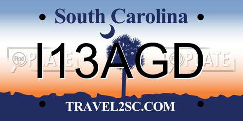 I13AGD South Carolina License Plate