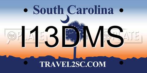 I13DMS South Carolina License Plate