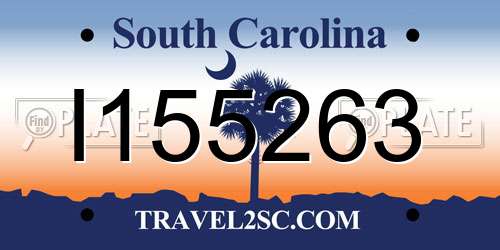 I155263 South Carolina License Plate