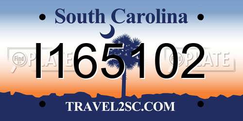 I165102 South Carolina License Plate