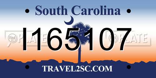 I165107 South Carolina License Plate