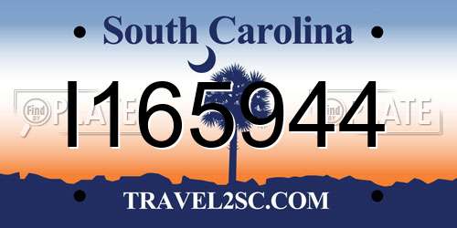 I165944 South Carolina License Plate