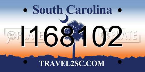 I168102 South Carolina License Plate