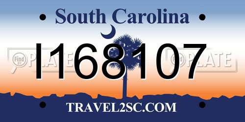 I168107 South Carolina License Plate