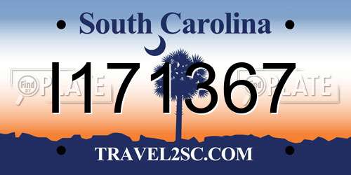 I171367 South Carolina License Plate