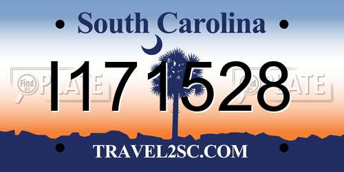 I171528 South Carolina License Plate